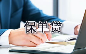 六安保单贷