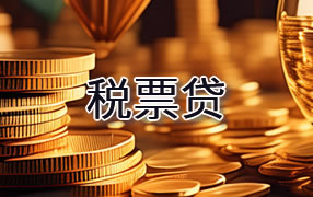 六安税票贷